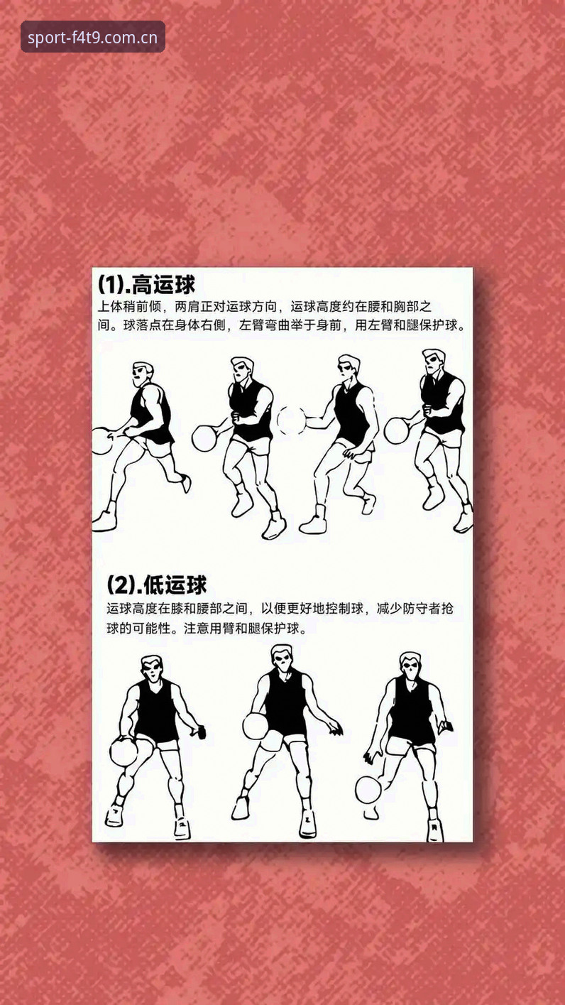 体育官网投注的5个核心技巧：从新手到高手的完整指南